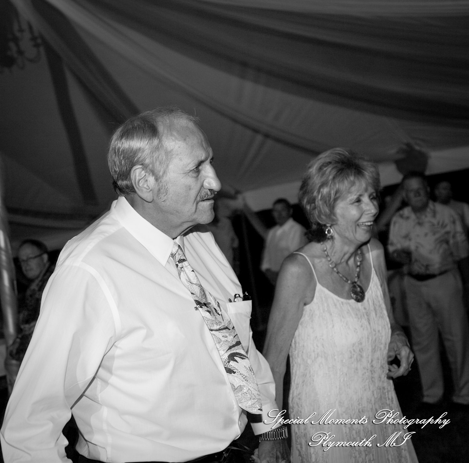 Erica & James at home backyard Tent Reception New Hudson MI wedding photograph