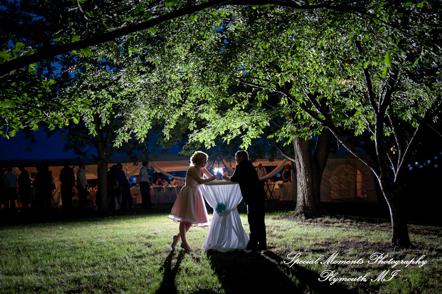 Erica & James at home backyard Tent Reception New Hudson MI wedding photograph