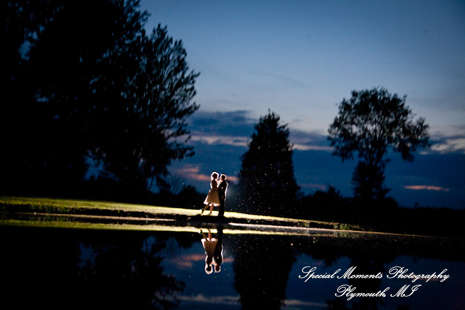 Erica & James at home backyard Tent Reception New Hudson MI wedding photograph