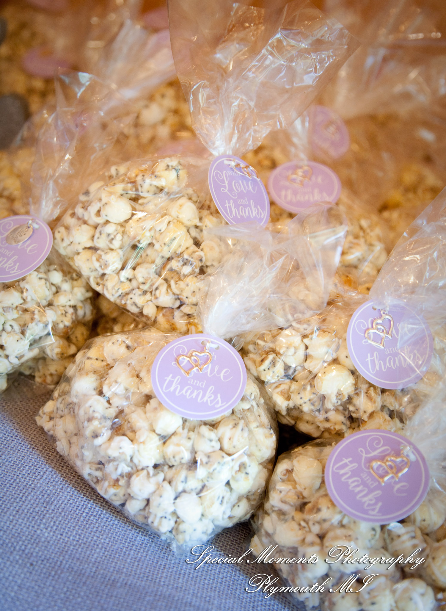 Kim & Steve at Strawberry Lake Lodge Pinckney MI wedding photography