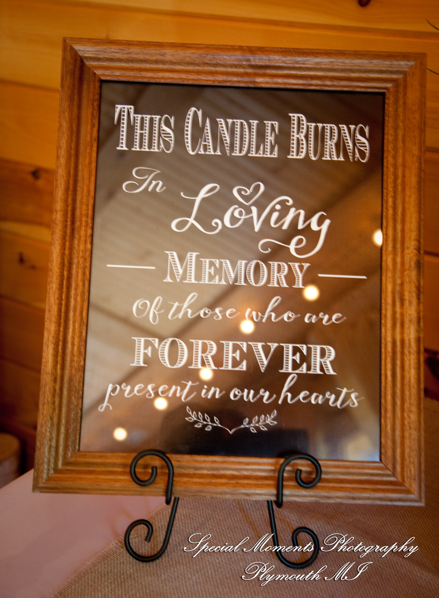 Kim & Steve at Strawberry Lake Lodge Pinckney MI wedding photography