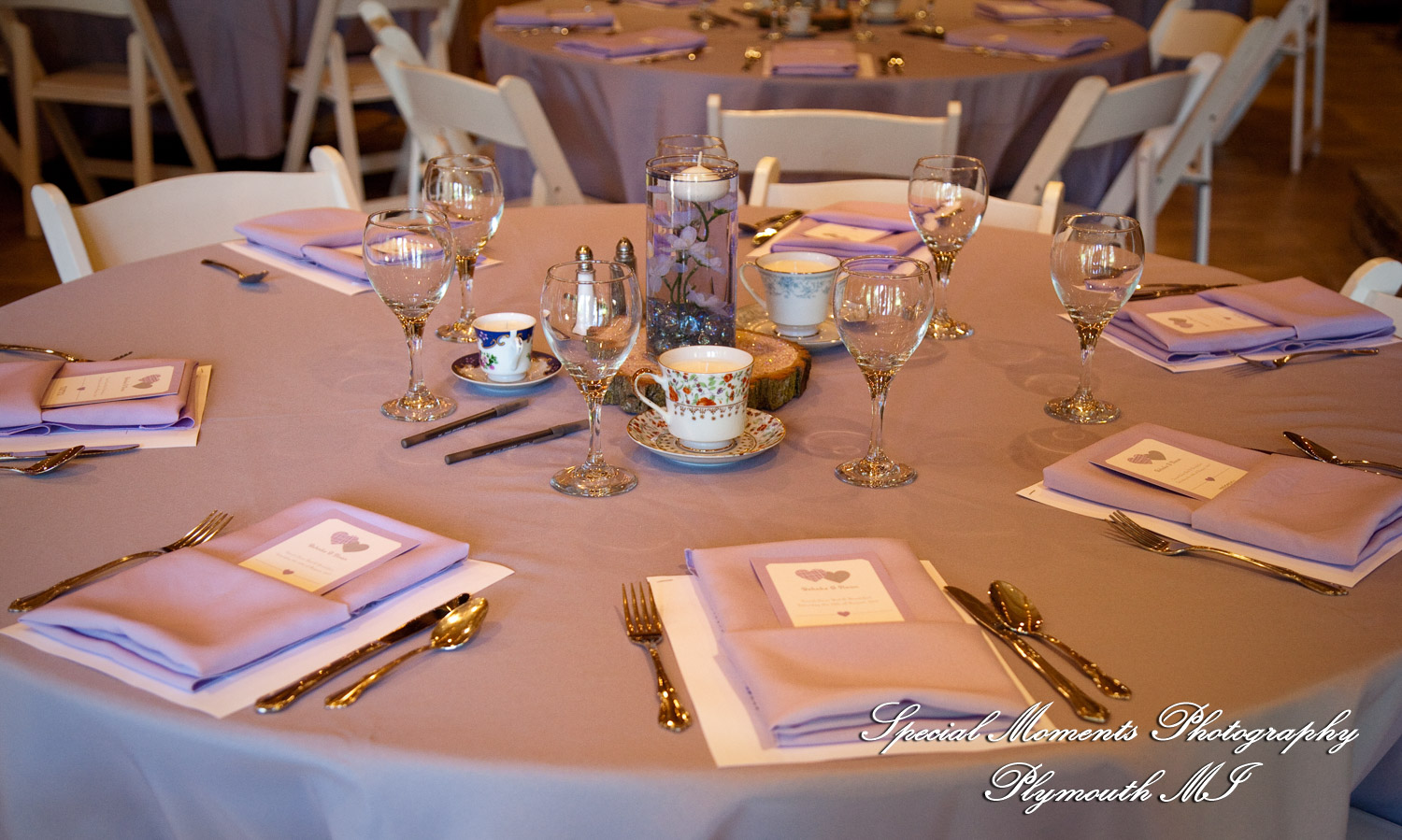 Kim & Steve at Strawberry Lake Lodge Pinckney MI wedding photography