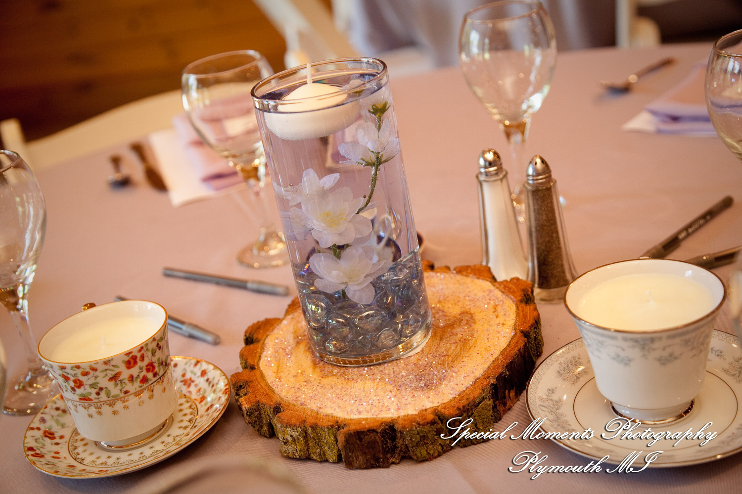 Kim & Steve at Strawberry Lake Lodge Pinckney MI wedding photography