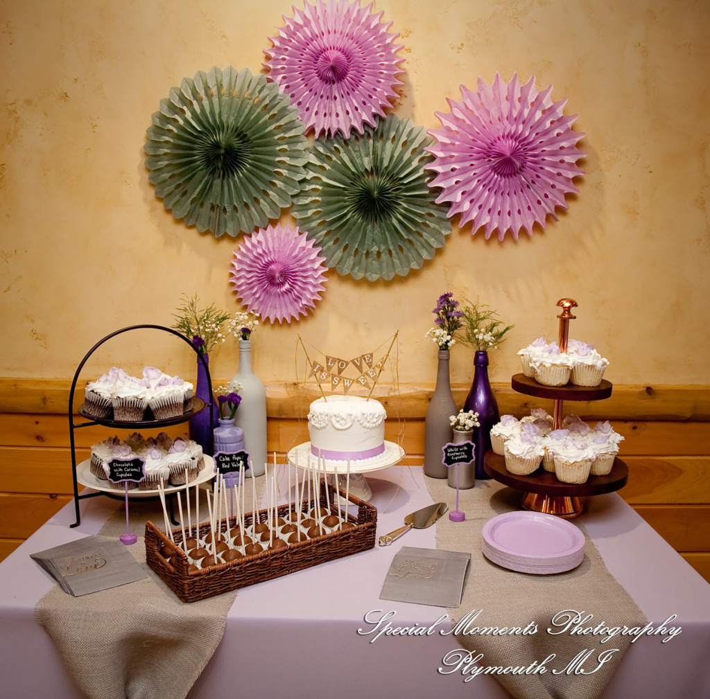 Kim & Steve at Strawberry Lake Lodge Pinckney MI wedding photography