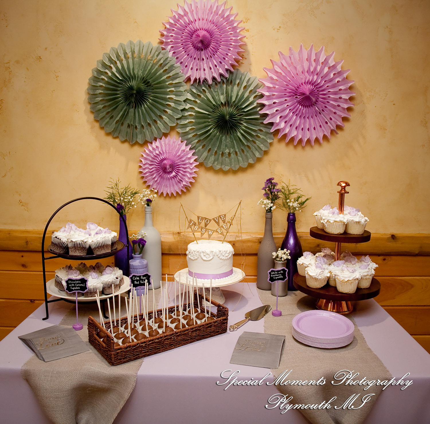 Kim & Steve at Strawberry Lake Lodge Pinckney MI wedding photography