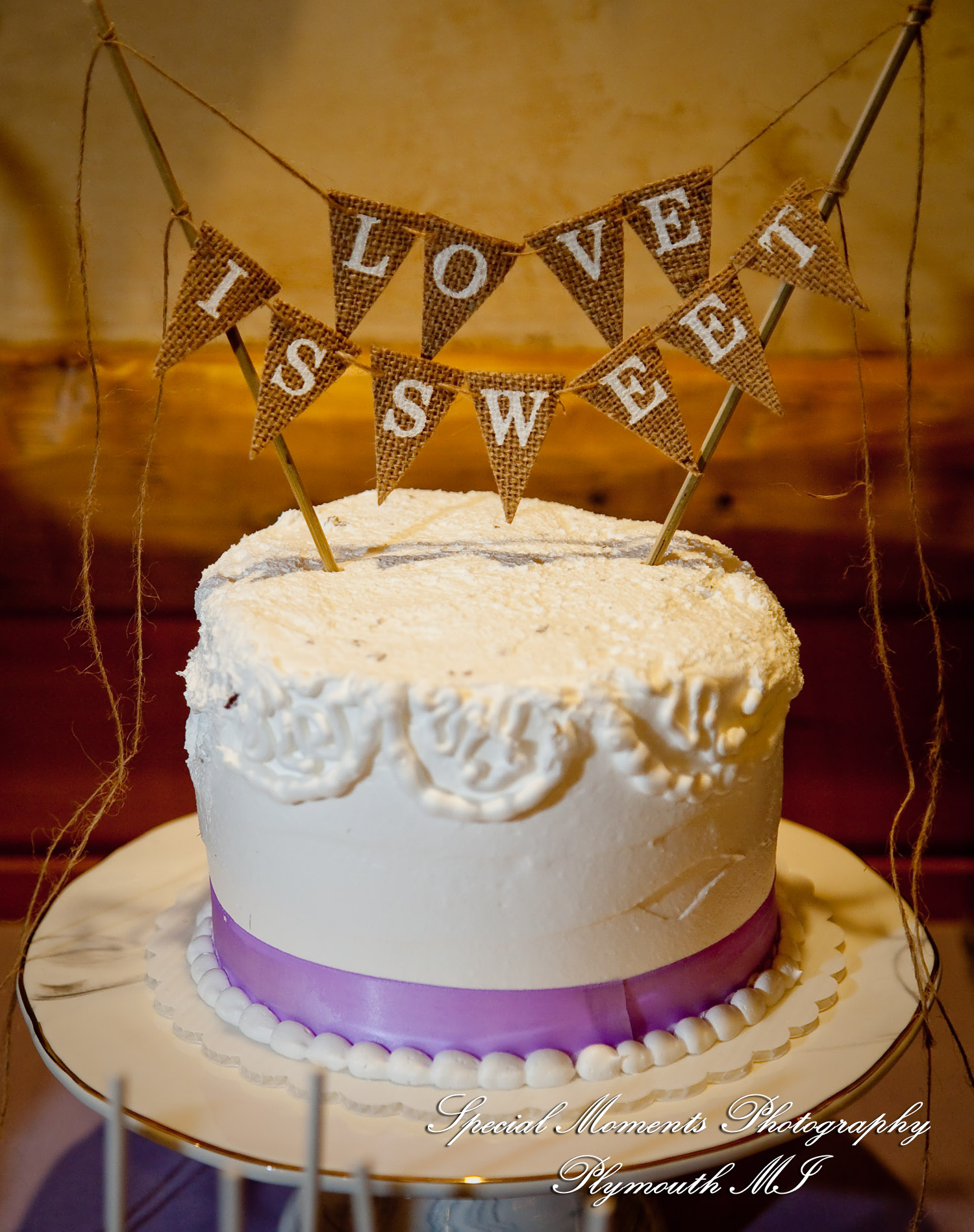 Kim & Steve at Strawberry Lake Lodge Pinckney MI wedding photography