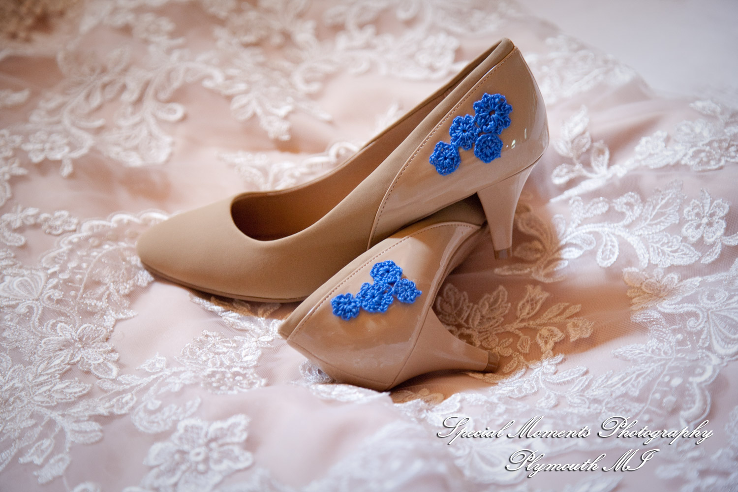 Kim & Steve at Strawberry Lake Lodge Pinckney MI wedding photography