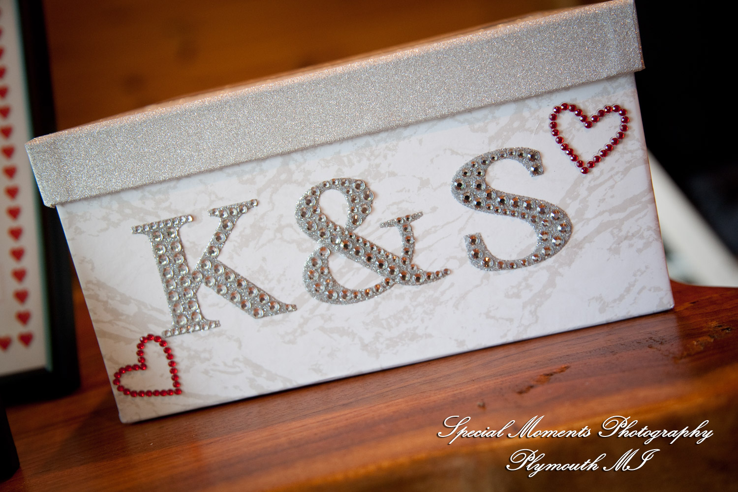Kim & Steve at Strawberry Lake Lodge Pinckney MI wedding photography