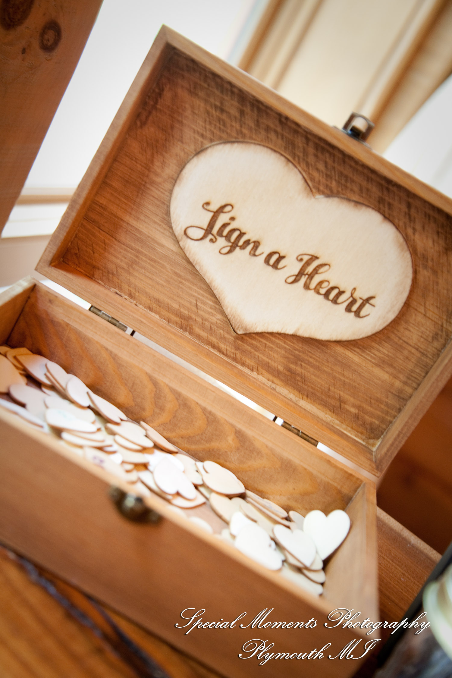 Kim & Steve at Strawberry Lake Lodge Pinckney MI wedding photography