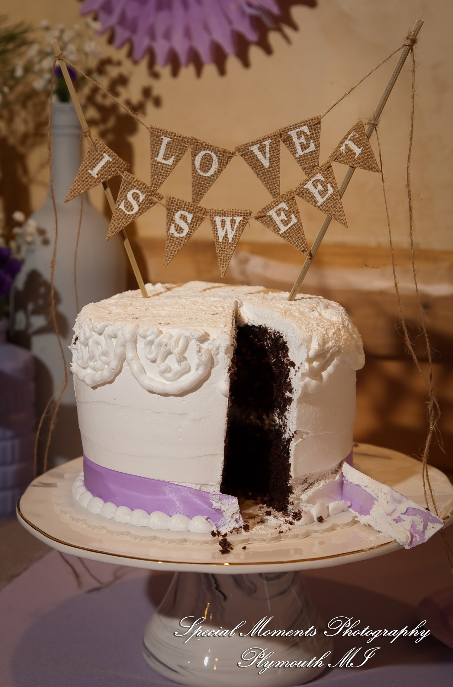 Kim & Steve at Strawberry Lake Lodge Pinckney MI wedding photography