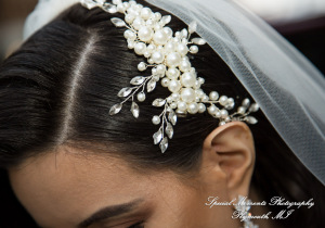 Rosanna & Layoun at Eddie Merlot Bloomfield Hills MI wedding photograph