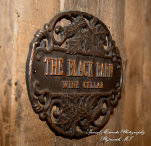 Jessica & Michael Day 1 at Westers Family Vineyard & Winery Rives Junction MI wedding photograph