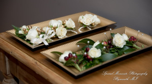 Jessica & Michael Day 1 at Westers Family Vineyard & Winery Rives Junction MI wedding photograph