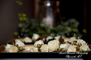 Jessica & Michael Day 1 at Westers Family Vineyard & Winery Rives Junction MI wedding photograph