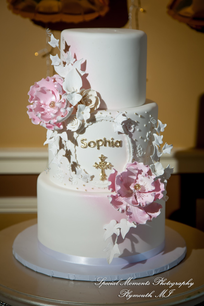 Red Olive Banquet Center Plymouth MI wedding & Baptism photograph