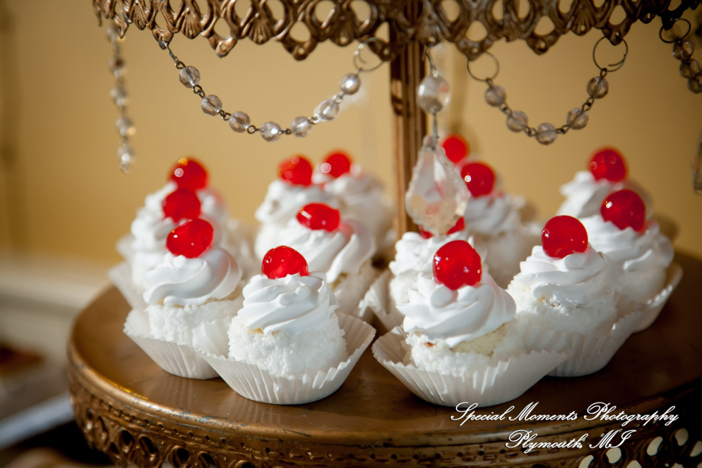 Red Olive Banquet Center Plymouth MI wedding & Baptism photograph