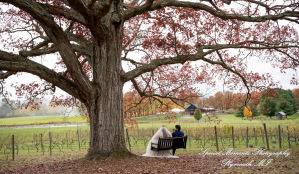 Jessica & Michael Day 1 at Westers Family Vineyard & Winery Rives Junction MI wedding photograph