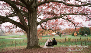 Jessica & Michael Day 1 at Westers Family Vineyard & Winery Rives Junction MI wedding photograph