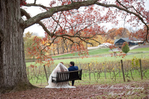 Jessica & Michael Day 1 at Westers Family Vineyard & Winery Rives Junction MI wedding photograph