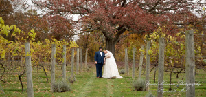 Jessica & Michael Day 1 at Westers Family Vineyard & Winery Rives Junction MI wedding photograph