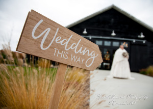 Jessica & Michael Day 1 at Westers Family Vineyard & Winery Rives Junction MI wedding photograph