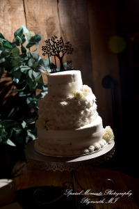 Jessica & Michael Day 1 at Westers Family Vineyard & Winery Rives Junction MI wedding photograph