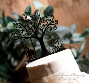 Jessica & Michael Day 1 at Westers Family Vineyard & Winery Rives Junction MI wedding photograph