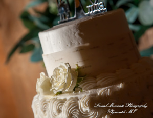 Jessica & Michael Day 1 at Westers Family Vineyard & Winery Rives Junction MI wedding photograph