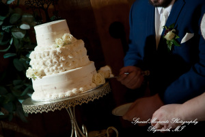 Jessica & Michael Day 1 at Westers Family Vineyard & Winery Rives Junction MI wedding photograph