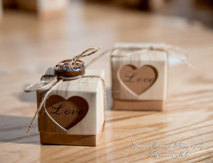 Jessica & Michael Day 1 at Westers Family Vineyard & Winery Rives Junction MI wedding photograph