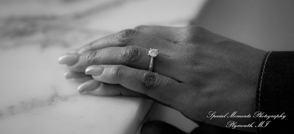 Rachel & Robert at DIA Detroit MI engagement photography