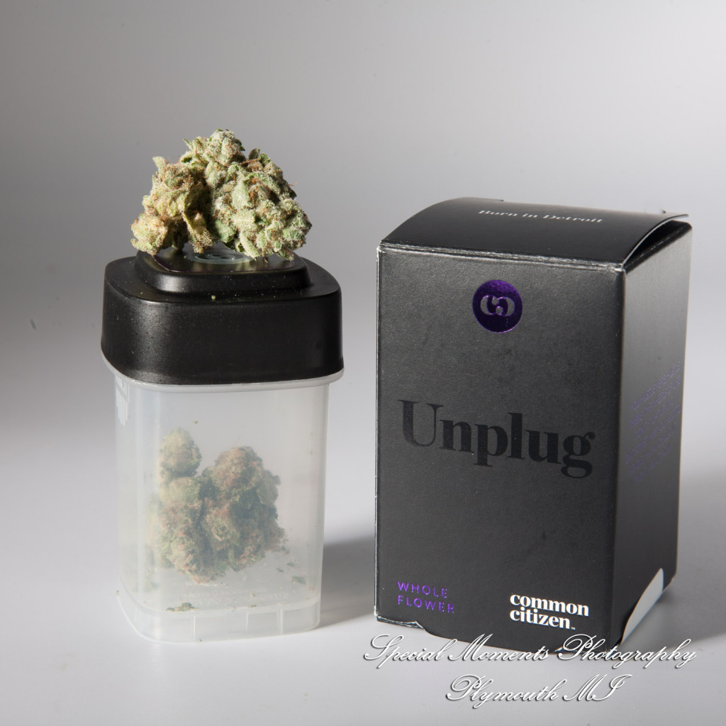 Wayne Releaf Provisioning & Cultivation Center Wayne MI commercial photograph