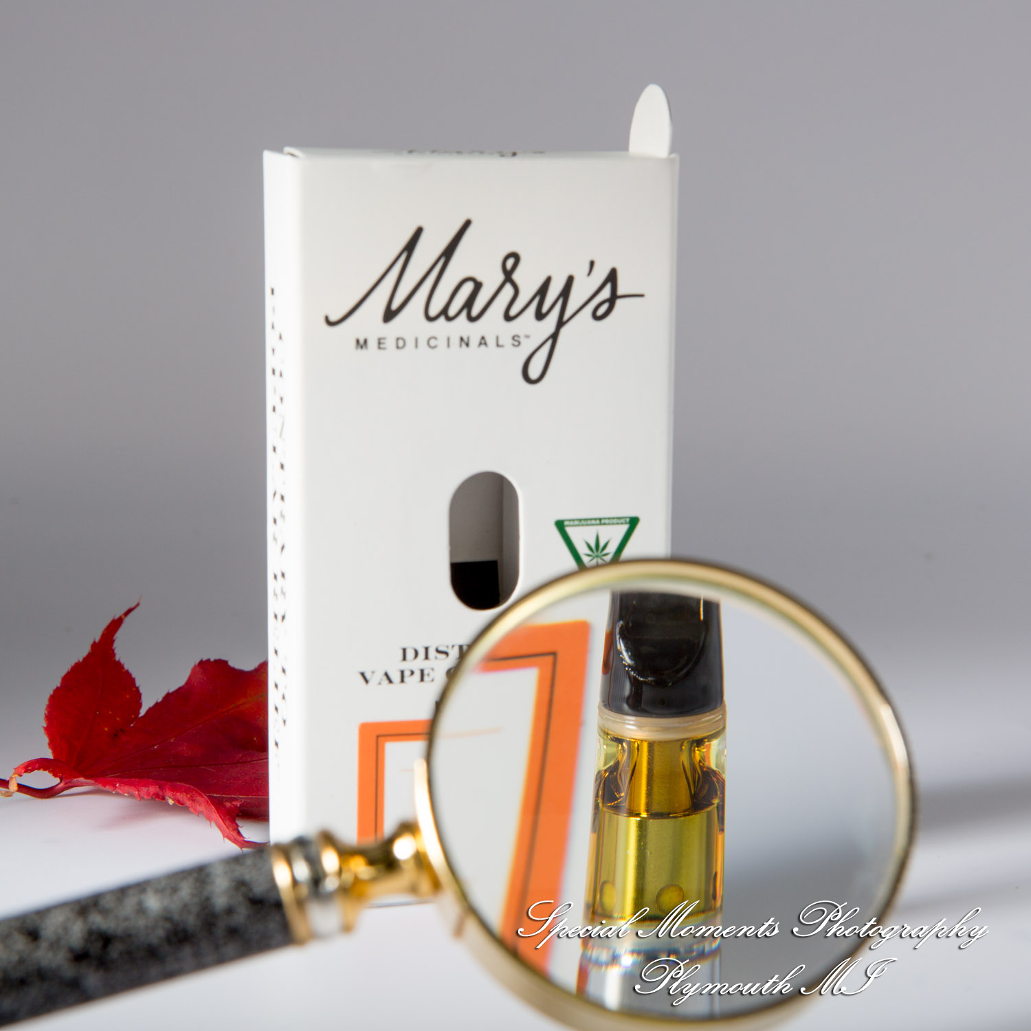 Wayne Releaf Provisioning & Cultivation Center Wayne MI commercial photograph