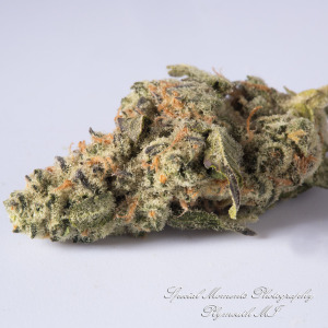 Wayne Releaf Provisioning & Cultivation Center Wayne MI commercial photograph Platinum Garlic OG