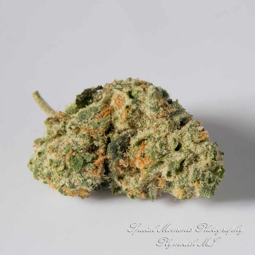 Wayne Releaf Provisioning & Cultivation Center Wayne MI commercial photograph Duct Tape