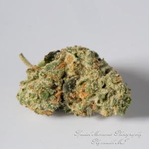 Wayne Releaf Provisioning & Cultivation Center Wayne MI commercial photograph Duct Tape