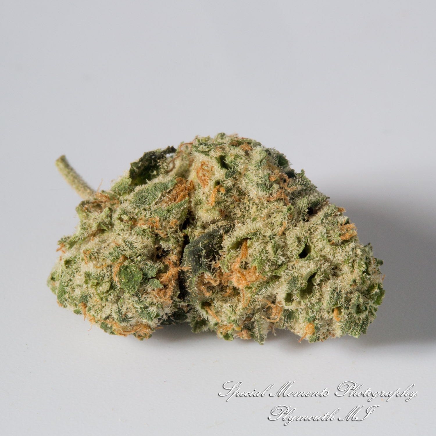 Wayne Releaf Provisioning & Cultivation Center Wayne MI commercial photograph Duct Tape