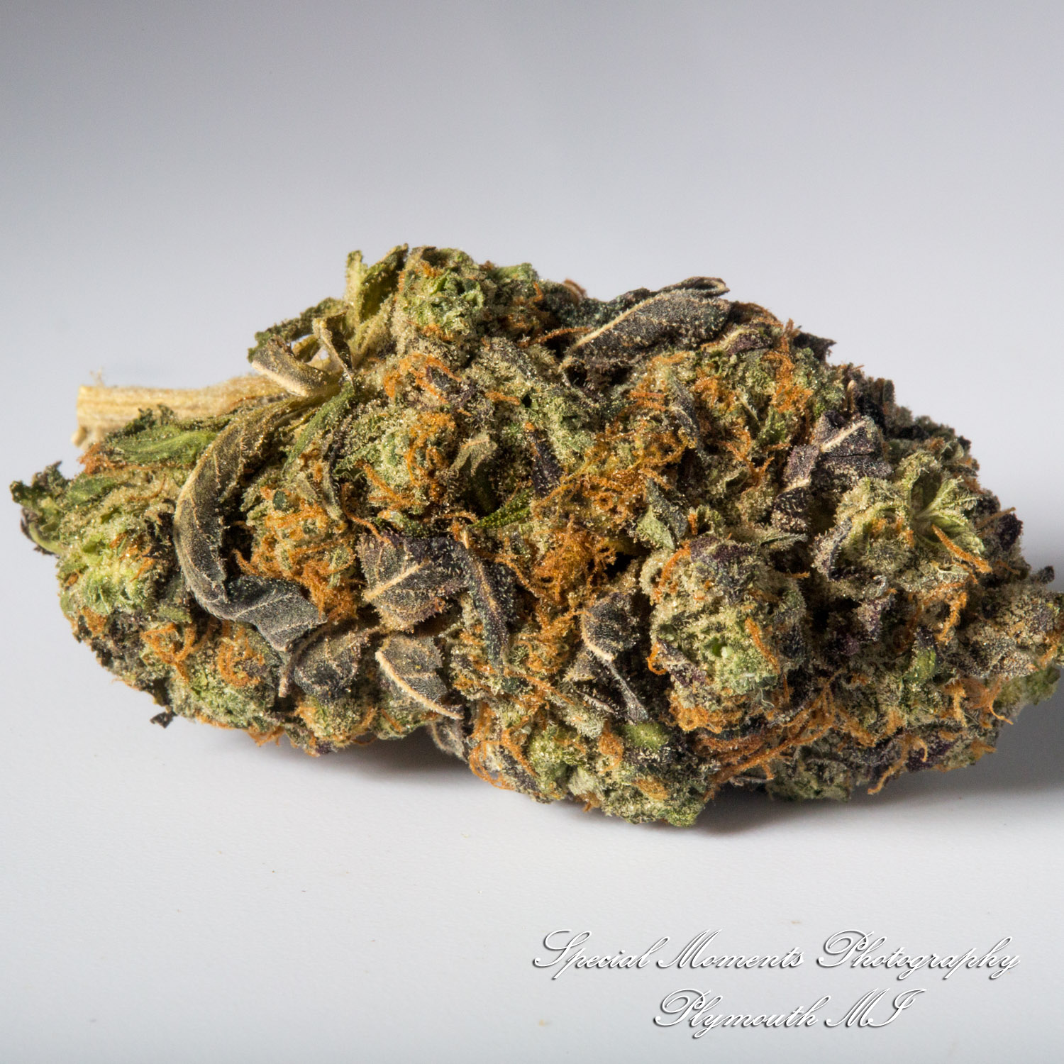 Wayne Releaf Provisioning & Cultivation Center Wayne MI commercial photograph Medical - Iina