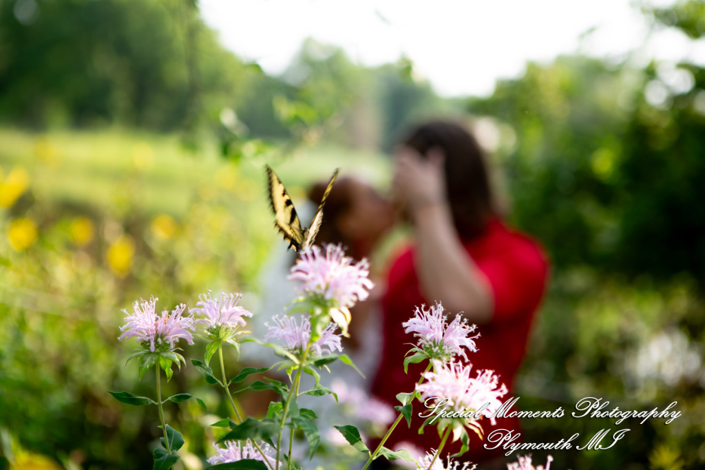 Kira & Seth at Heritage Park Farmington Hills MI engagement photograph