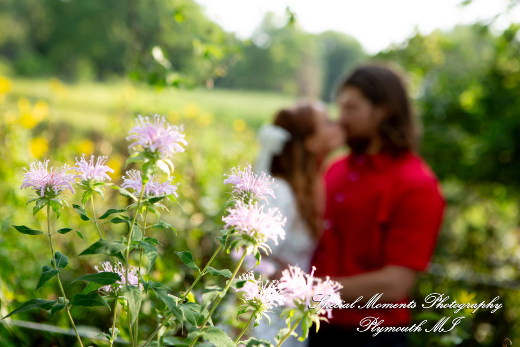 Kira & Seth at Heritage Park Farmington Hills MI engagement photograph