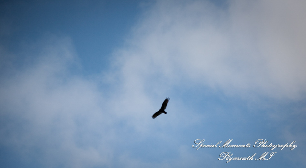 Sara & Andrew at Wilcox Lake Park Plymouth MI engagement photos
