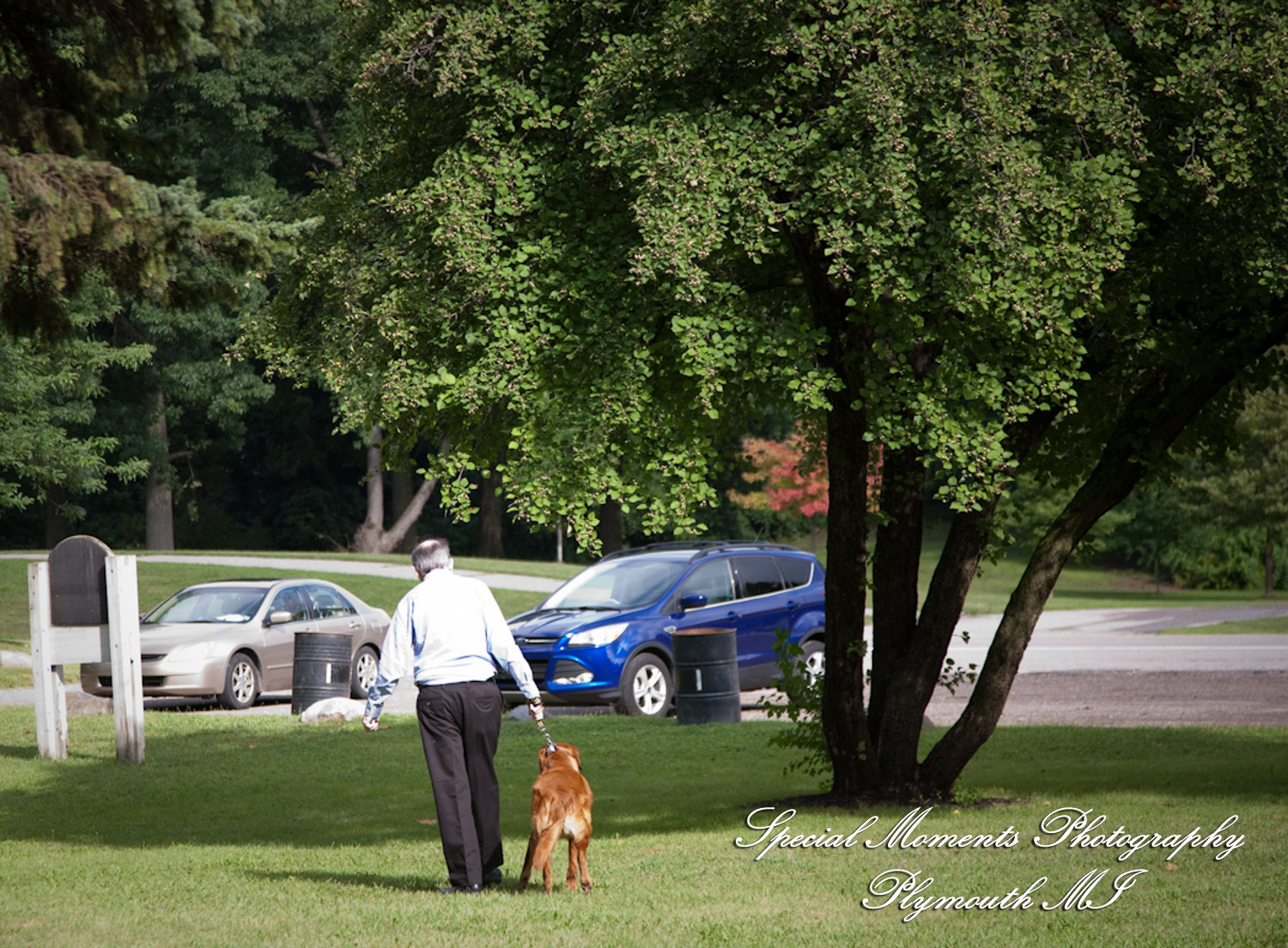 Sara & Andrew at Wilcox Lake Park Plymouth MI engagement photography
