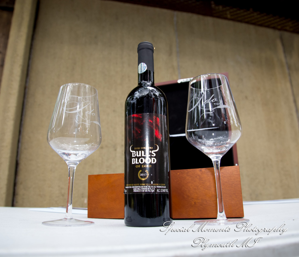 Sheryl & Jeffrey at Dodge #4 State Park Waterford MI wedding photography