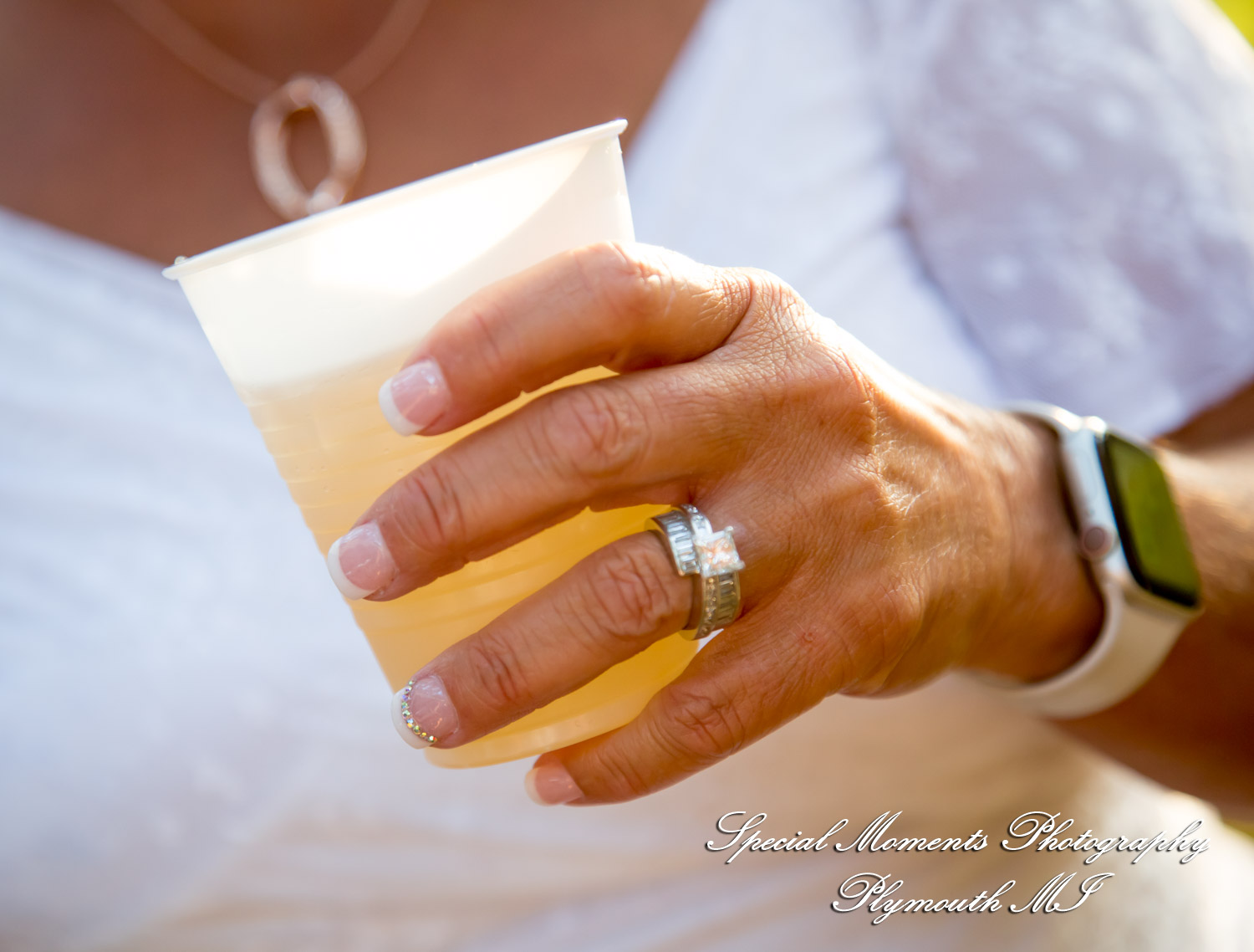 Sheryl & Jeffrey at Dodge #4 State Park Waterford MI wedding photography