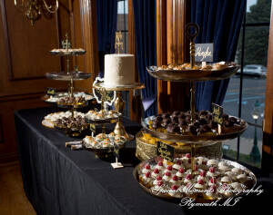 Sheryl & Jeffrey at Canterbury Castle Lake Orion MI wedding photography