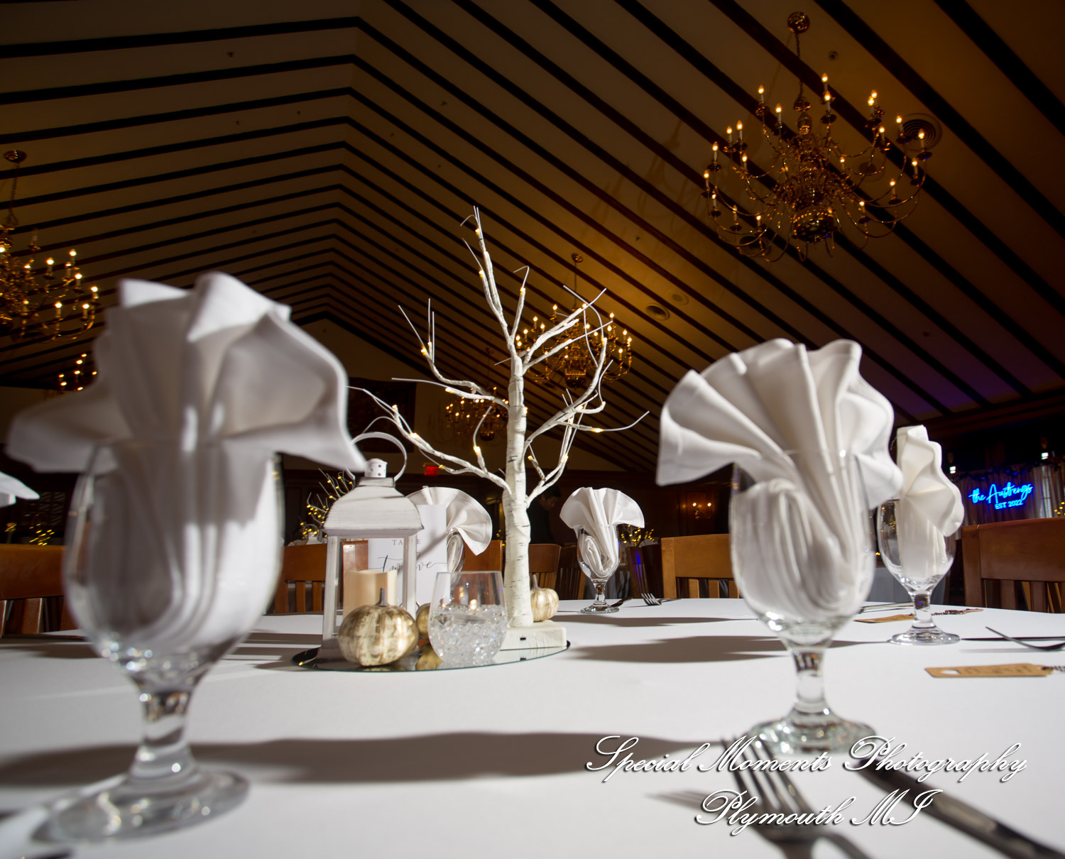 Sheryl & Jeffrey at Canterbury Castle Lake Orion MI wedding photography