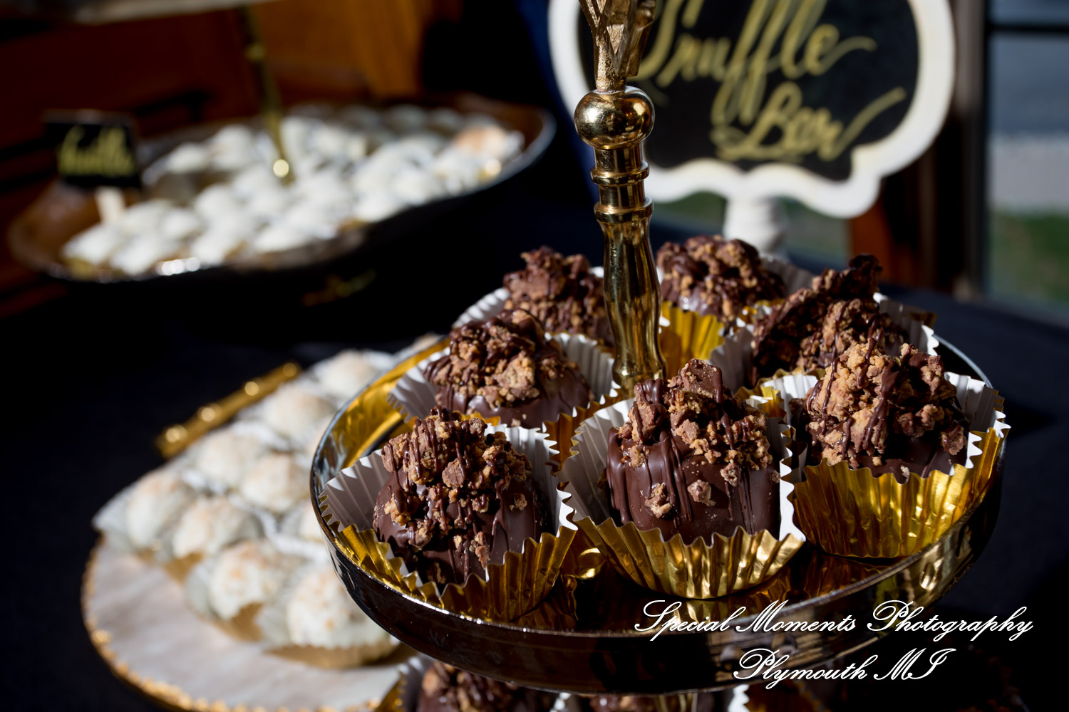 Sheryl & Jeffrey at Canterbury Castle Lake Orion MI wedding photography