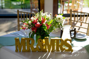 Holly & Jonathan at Stonebridge Golf Course Ann Arbor MI wedding photograph