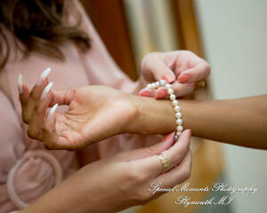 Livia & Clark at Grecian Center Southgate MI wedding photo