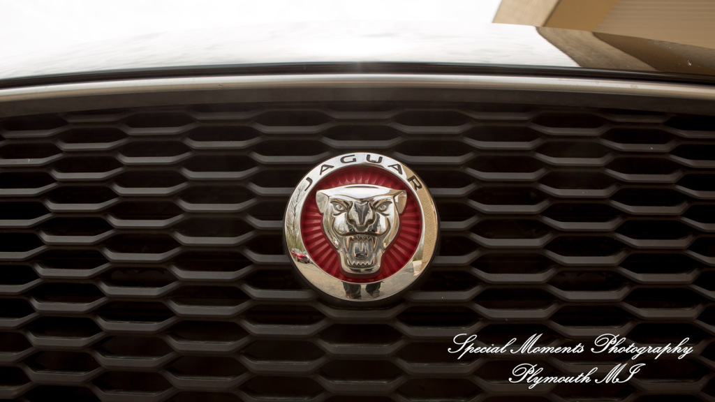 Livia & Clark at Grecian Center Southgate MI wedding photo